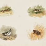 Thumbnail of additional image