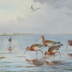 John Cyril Harrison, Woodcock evening