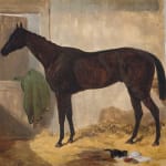Harry Hall, Lord Clifden's 'Surplice' , winner of The Derby and St. Leger, 1848. S.Templeman Esq. up.