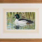 Basil Ede, Goldeneye