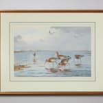 John Cyril Harrison, Woodcock evening