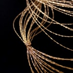 Barbara M. Berk, Petite French Knot, 2019