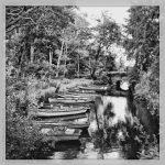 Denise Gosciejew, 102. Heaven, 2012