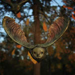 Denise Gosciejew, 102. Heaven, 2012