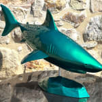 Thumbnail of additional image