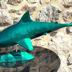 Thumbnail of additional image