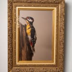 Kaat Stieber, Vanilla Dove