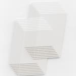 Daniel Mullen, Liminal Suspensions-Plume , 2025
