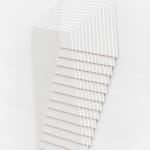 Daniel Mullen, Liminal Suspensions-Plume , 2025
