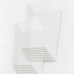Daniel Mullen, Liminal Suspensions-Plume , 2025