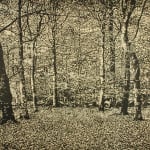 Trevor Price RE, Beechwood I