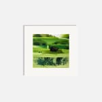 Sue Howells RWS, Summer Solstice