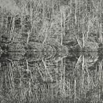 Trevor Price RE, A Moment of Reflection II