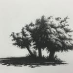 Ali Yanya ARE, Fig Trees