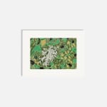 Chloe Fremantle RWS, Lichen
