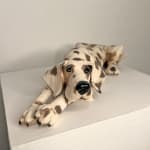 Virginia Dowe Edwards, Snuggling Spotty Dog & Patchy Dog