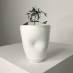 Linda Bloomfield, Speckled Chun Bowl, 2025