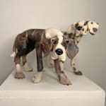 Virginia Dowe Edwards, Snuggling Spotty Dog & Patchy Dog
