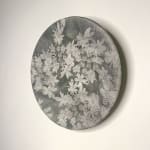 Heidi Harrington, Yew Plate #2