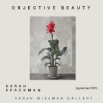 Sarah Spackman , Objective Beauty - Exhibition Catalogue | UK Shipping, 2023
