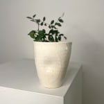 Linda Bloomfield, Speckled Chun Bowl, 2025