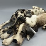 Virginia Dowe Edwards, Snuggling Spotty Dog & Patchy Dog