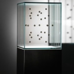 Edoardo Dionea Cicconi, Everything, 2024