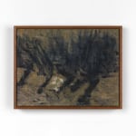 Nuria Maria, Light on the Hills, 2025