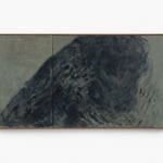 Nuria Maria, Willows in Wittem II, 2025