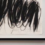 Judith Bernstein, Signature, 1995