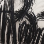 Judith Bernstein, Signature, 1995