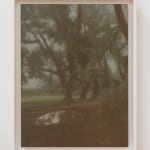 Matvey Levenstein, Votive, 2009
