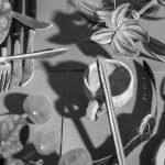 Daniel Gordon, Light Study (Espresso Cup and Shadows), 2024