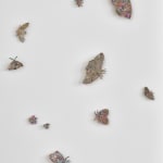 Kiki Smith, Dusk, 2023