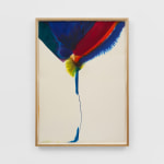 Paul Jenkins, Phenomena Continental Drift, 1962