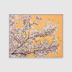 Paul Anthony Smith, Frenchman’s Cove, 2025