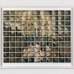 Mosaic composed of polaroids depicting a male figure with clasped hands.