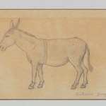 Pencil drawing on paper of a Donkey and a study for the painting Asinello (studio per "Gita in carrozzino"). Artwork details: Artist: Antonio Donghi. Artwork title: Asinello (studio per "Gita in carrozzino"). Artwork date: c.1955. Artwork medium: Pencil on paper. Artwork dimensions: 14 x 20 cm.
