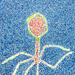Gleb Skubachevsky, Flu, 2025