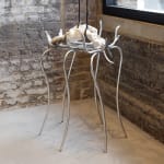 Dilara Koz, Certain Dreams, 2025