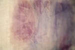 Libby Heaney, Bat hand blob wing (quantum hybrid), 2022