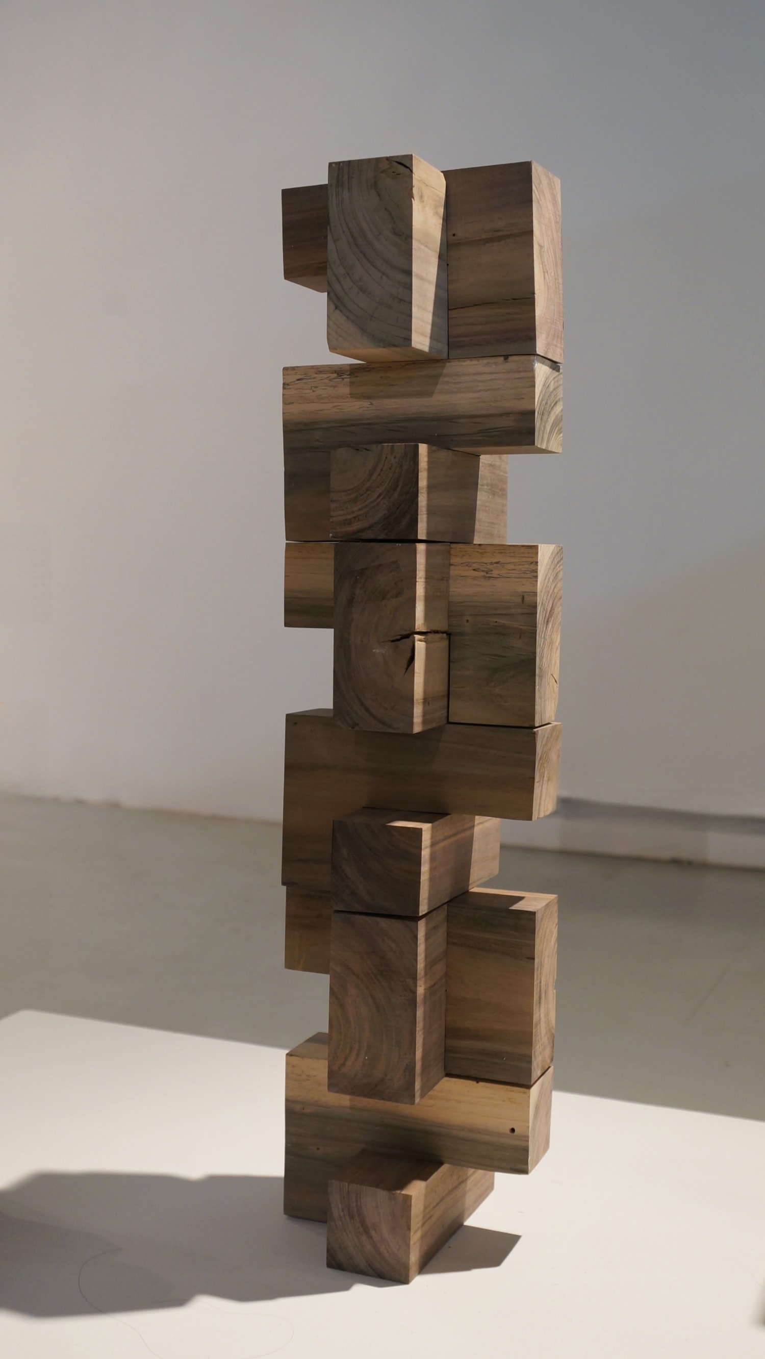 Contemporary Visions of Puerto Rico