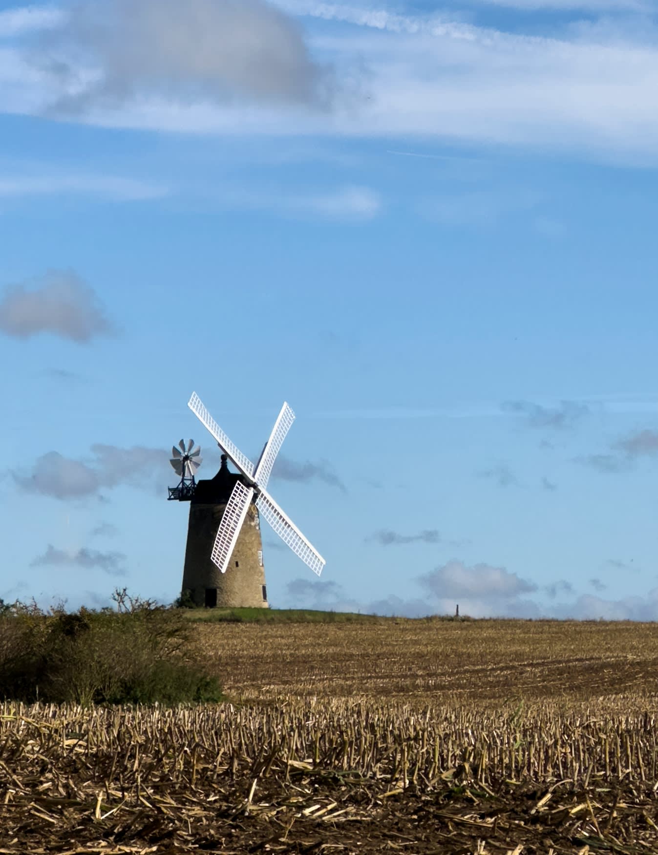 The Windmill