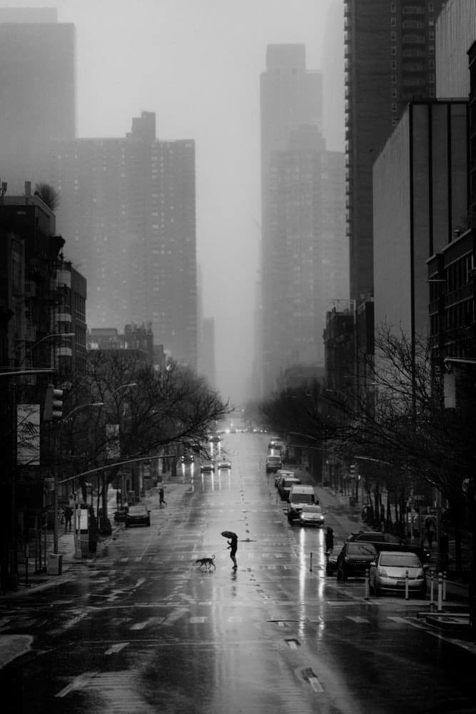 DOG WALKER ON 10TH AVENUE, NEW YORK, 23 MARCH 2020, 2020