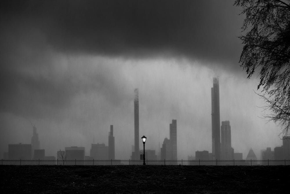 CENTRAL PARK, NEW YORK, 9 APRIL 2020, 2020