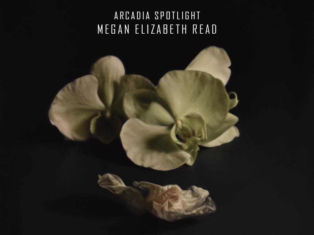 Arcadia Spotlight Exhibition: Megan Read
