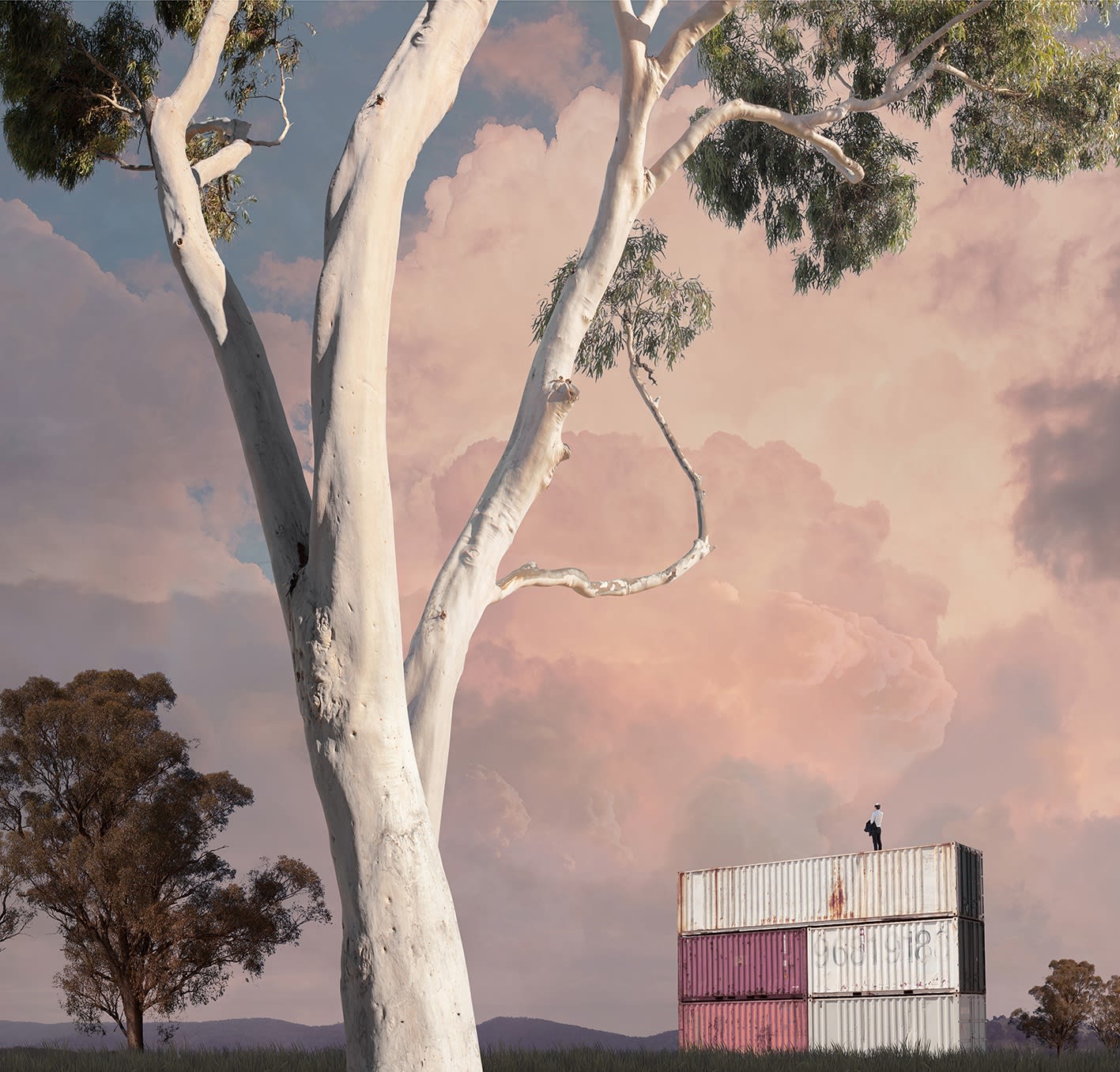 In Conversation with Lindsay Blamey