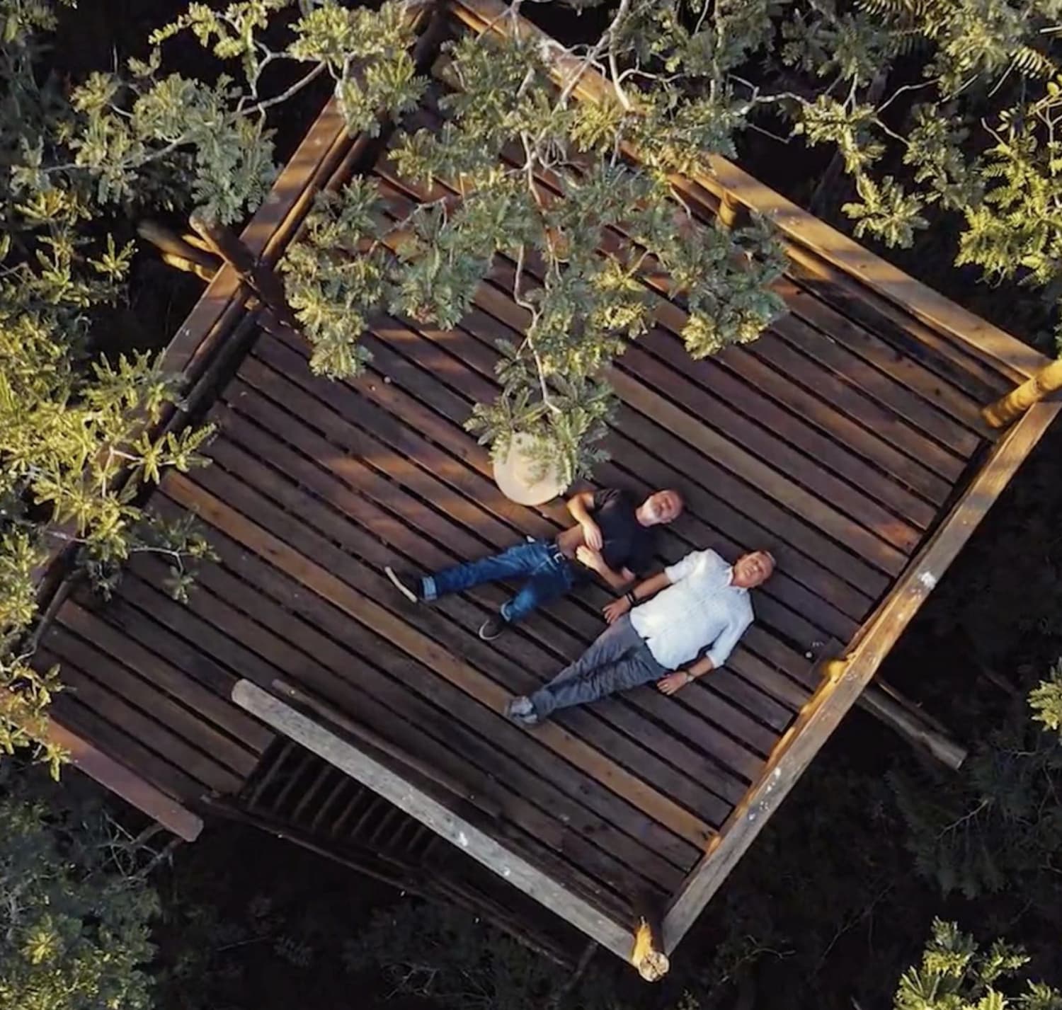 Campana | Polifonia Campana