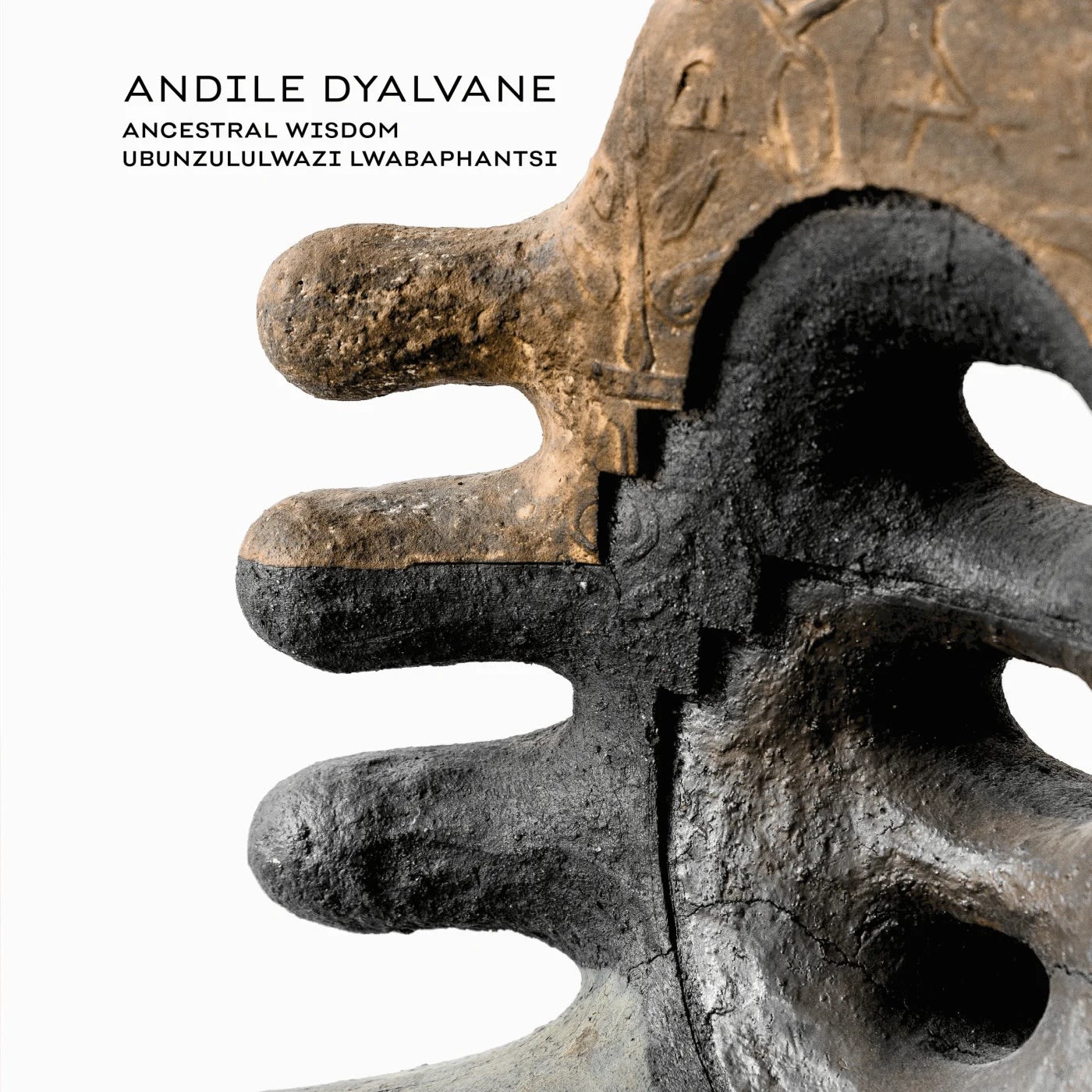 ANDILE DYALVANE