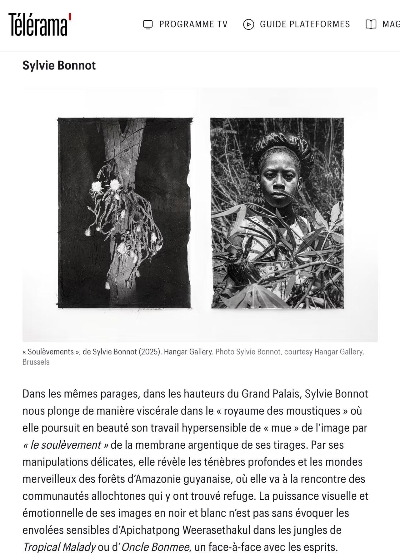 Paris Photo 2025 : nos dix coup de coeur d'une luxuriante édition, entre beauté vintage et créatures pixélisées